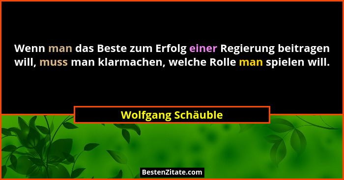 Wenn man das Beste zum Erfolg einer Regierung beitragen will, muss man klarmachen, welche Rolle man spielen will.... - Wolfgang Schäuble
