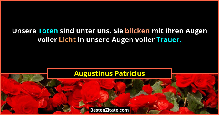 Unsere Toten sind unter uns. Sie blicken mit ihren Augen voller Licht in unsere Augen voller Trauer.... - Augustinus Patricius