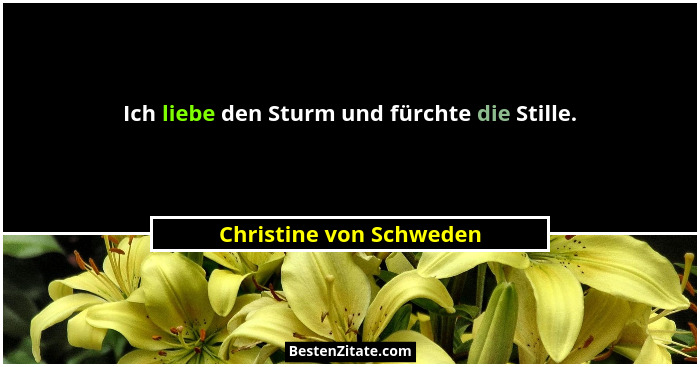Ich liebe den Sturm und fürchte die Stille.... - Christine von Schweden