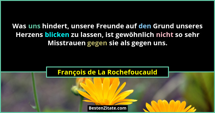 Was uns hindert, unsere Freunde auf den Grund unseres Herzens blicken zu lassen, ist gewöhnlich nicht so sehr Misstraue... - François de La Rochefoucauld