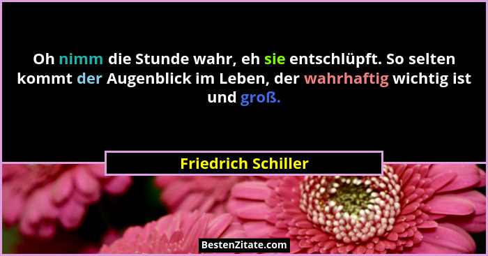 Oh nimm die Stunde wahr, eh sie entschlüpft. So selten kommt der Augenblick im Leben, der wahrhaftig wichtig ist und groß.... - Friedrich Schiller