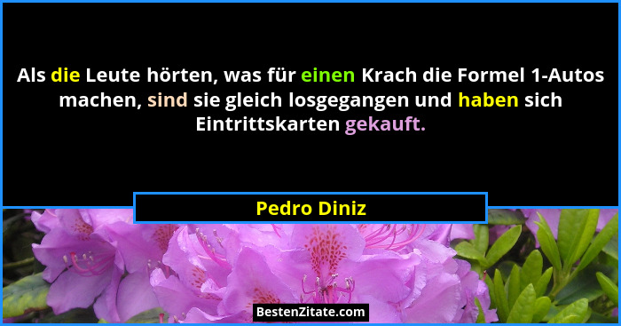 Als die Leute hörten, was für einen Krach die Formel 1-Autos machen, sind sie gleich losgegangen und haben sich Eintrittskarten gekauft.... - Pedro Diniz