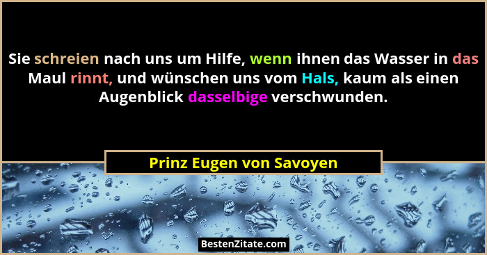 Sie schreien nach uns um Hilfe, wenn ihnen das Wasser in das Maul rinnt, und wünschen uns vom Hals, kaum als einen Augenblic... - Prinz Eugen von Savoyen