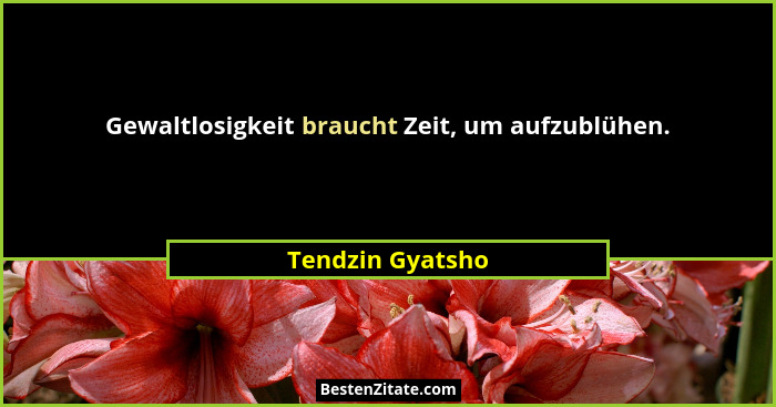 Gewaltlosigkeit braucht Zeit, um aufzublühen.... - Tendzin Gyatsho