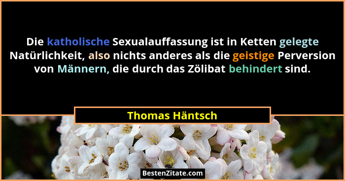 Die katholische Sexualauffassung ist in Ketten gelegte Natürlichkeit, also nichts anderes als die geistige Perversion von Männern, di... - Thomas Häntsch