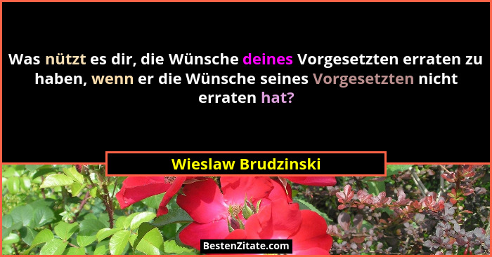 Was nützt es dir, die Wünsche deines Vorgesetzten erraten zu haben, wenn er die Wünsche seines Vorgesetzten nicht erraten hat?... - Wieslaw Brudzinski