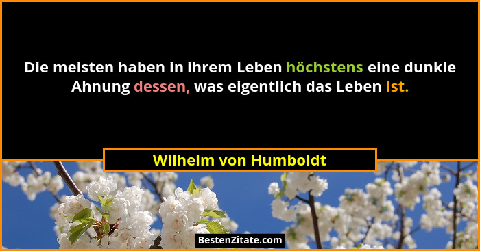 Die meisten haben in ihrem Leben höchstens eine dunkle Ahnung dessen, was eigentlich das Leben ist.... - Wilhelm von Humboldt