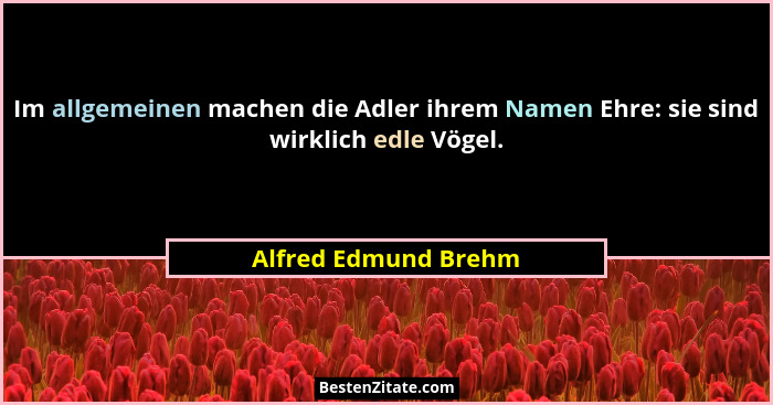 Im allgemeinen machen die Adler ihrem Namen Ehre: sie sind wirklich edle Vögel.... - Alfred Edmund Brehm