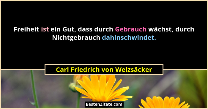 Freiheit ist ein Gut, dass durch Gebrauch wächst, durch Nichtgebrauch dahinschwindet.... - Carl Friedrich von Weizsäcker