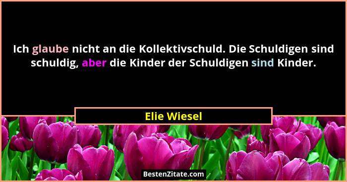 Ich glaube nicht an die Kollektivschuld. Die Schuldigen sind schuldig, aber die Kinder der Schuldigen sind Kinder.... - Elie Wiesel