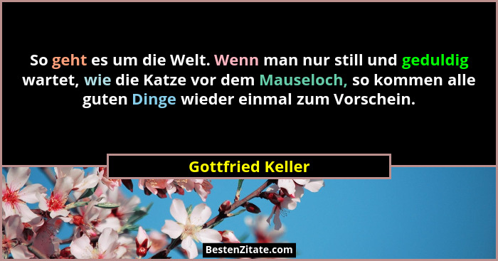 So geht es um die Welt. Wenn man nur still und geduldig wartet, wie die Katze vor dem Mauseloch, so kommen alle guten Dinge wieder... - Gottfried Keller