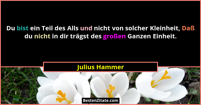 Du bist ein Teil des Alls und nicht von solcher Kleinheit, Daß du nicht in dir trägst des großen Ganzen Einheit.... - Julius Hammer