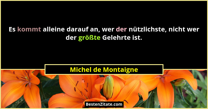Es kommt alleine darauf an, wer der nützlichste, nicht wer der größte Gelehrte ist.... - Michel de Montaigne