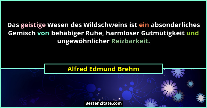 Das geistige Wesen des Wildschweins ist ein absonderliches Gemisch von behäbiger Ruhe, harmloser Gutmütigkeit und ungewöhnlicher... - Alfred Edmund Brehm