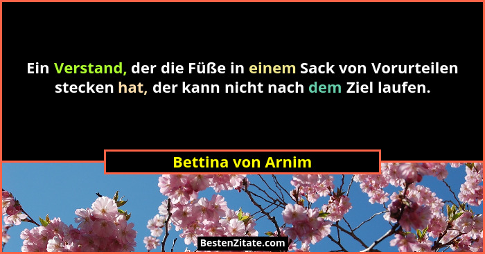 Ein Verstand, der die Füße in einem Sack von Vorurteilen stecken hat, der kann nicht nach dem Ziel laufen.... - Bettina von Arnim