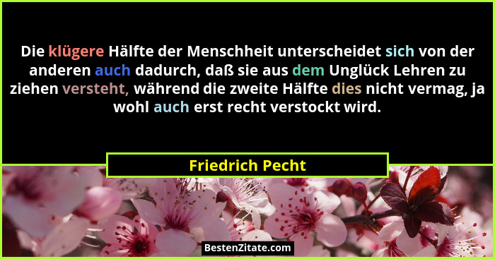 Die klügere Hälfte der Menschheit unterscheidet sich von der anderen auch dadurch, daß sie aus dem Unglück Lehren zu ziehen versteht... - Friedrich Pecht