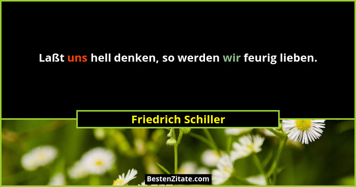 Laßt uns hell denken, so werden wir feurig lieben.... - Friedrich Schiller