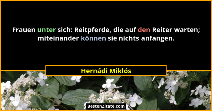 Frauen unter sich: Reitpferde, die auf den Reiter warten; miteinander können sie nichts anfangen.... - Hernádi Miklós