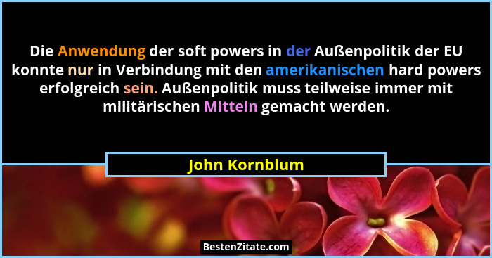 Die Anwendung der soft powers in der Außenpolitik der EU konnte nur in Verbindung mit den amerikanischen hard powers erfolgreich sein.... - John Kornblum