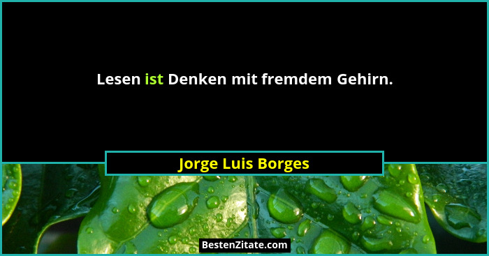 Lesen ist Denken mit fremdem Gehirn.... - Jorge Luis Borges