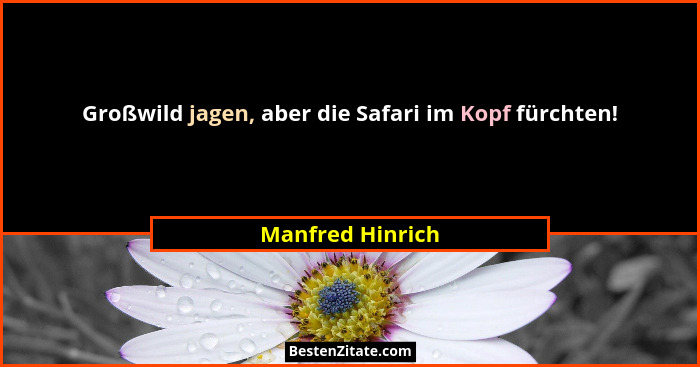 Großwild jagen, aber die Safari im Kopf fürchten!... - Manfred Hinrich