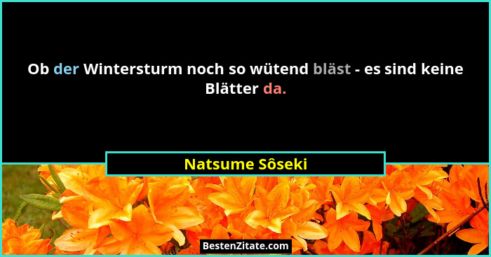 Ob der Wintersturm noch so wütend bläst - es sind keine Blätter da.... - Natsume Sôseki