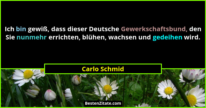 Ich bin gewiß, dass dieser Deutsche Gewerkschaftsbund, den Sie nunmehr errichten, blühen, wachsen und gedeihen wird.... - Carlo Schmid