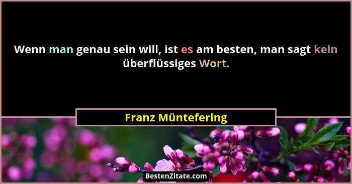 Wenn man genau sein will, ist es am besten, man sagt kein überflüssiges Wort.... - Franz Müntefering