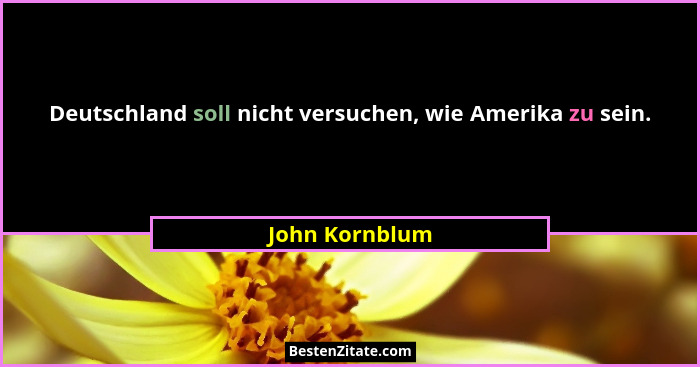 Deutschland soll nicht versuchen, wie Amerika zu sein.... - John Kornblum
