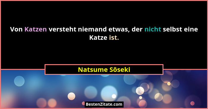 Von Katzen versteht niemand etwas, der nicht selbst eine Katze ist.... - Natsume Sôseki