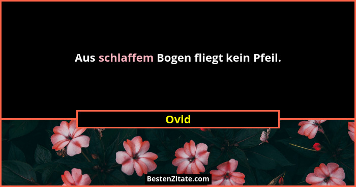 Aus schlaffem Bogen fliegt kein Pfeil.... - Ovid