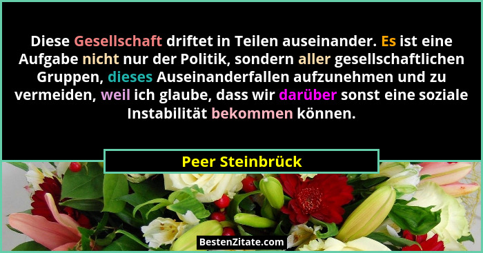 Diese Gesellschaft driftet in Teilen auseinander. Es ist eine Aufgabe nicht nur der Politik, sondern aller gesellschaftlichen Gruppe... - Peer Steinbrück
