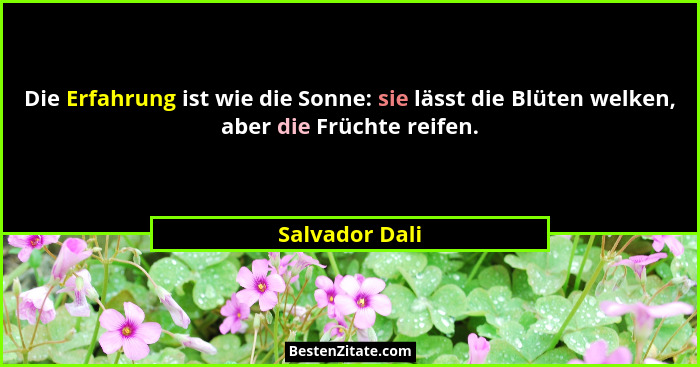 Die Erfahrung ist wie die Sonne: sie lässt die Blüten welken, aber die Früchte reifen.... - Salvador Dali