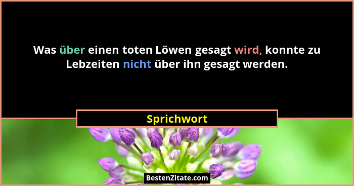 Was über einen toten Löwen gesagt wird, konnte zu Lebzeiten nicht über ihn gesagt werden.... - Sprichwort
