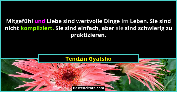 Mitgefühl und Liebe sind wertvolle Dinge im Leben. Sie sind nicht kompliziert. Sie sind einfach, aber sie sind schwierig zu praktizi... - Tendzin Gyatsho