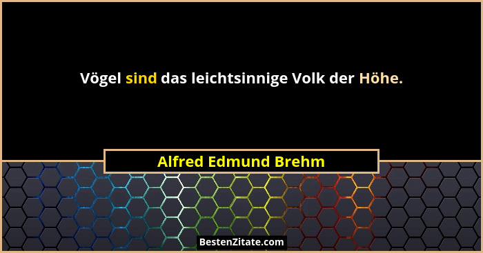 Vögel sind das leichtsinnige Volk der Höhe.... - Alfred Edmund Brehm