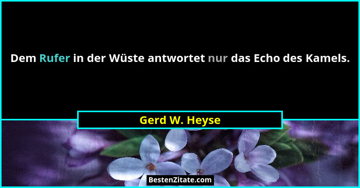 Dem Rufer in der Wüste antwortet nur das Echo des Kamels.... - Gerd W. Heyse