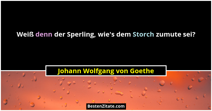 Weiß denn der Sperling, wie's dem Storch zumute sei?... - Johann Wolfgang von Goethe