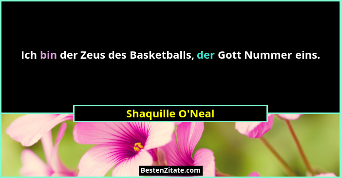 Ich bin der Zeus des Basketballs, der Gott Nummer eins.... - Shaquille O'Neal