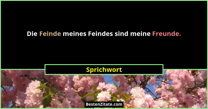 Die Feinde meines Feindes sind meine Freunde.... - Sprichwort