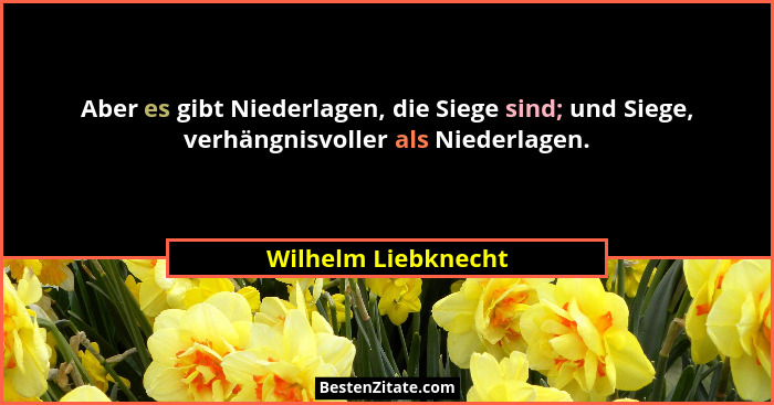 Aber es gibt Niederlagen, die Siege sind; und Siege, verhängnisvoller als Niederlagen.... - Wilhelm Liebknecht