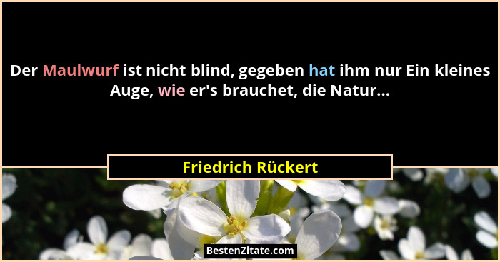 Der Maulwurf ist nicht blind, gegeben hat ihm nur Ein kleines Auge, wie er's brauchet, die Natur...... - Friedrich Rückert
