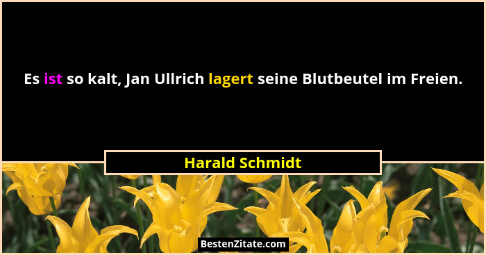 Es ist so kalt, Jan Ullrich lagert seine Blutbeutel im Freien.... - Harald Schmidt