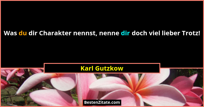 Was du dir Charakter nennst, nenne dir doch viel lieber Trotz!... - Karl Gutzkow