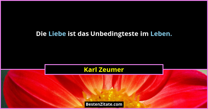 Die Liebe ist das Unbedingteste im Leben.... - Karl Zeumer