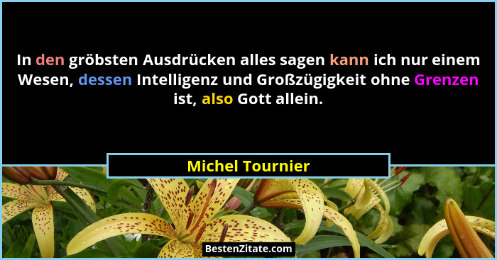 In den gröbsten Ausdrücken alles sagen kann ich nur einem Wesen, dessen Intelligenz und Großzügigkeit ohne Grenzen ist, also Gott al... - Michel Tournier