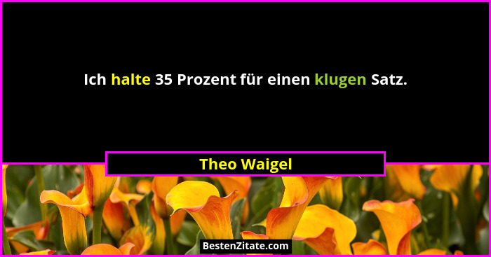 Ich halte 35 Prozent für einen klugen Satz.... - Theo Waigel