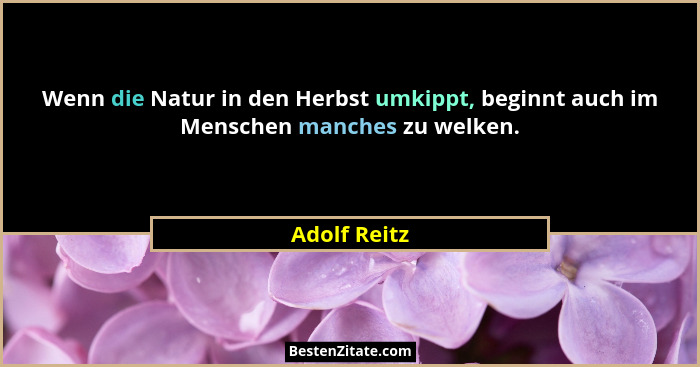 Wenn die Natur in den Herbst umkippt, beginnt auch im Menschen manches zu welken.... - Adolf Reitz