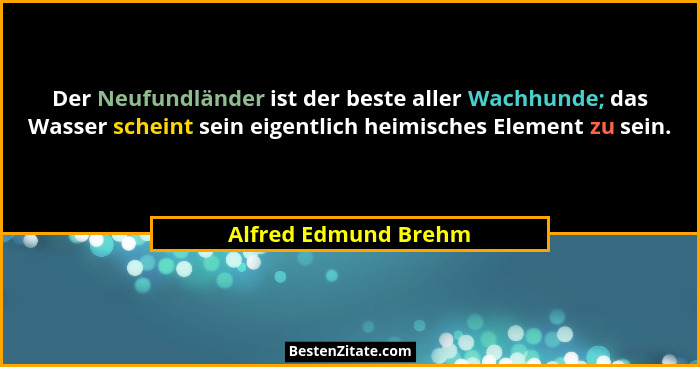Der Neufundländer ist der beste aller Wachhunde; das Wasser scheint sein eigentlich heimisches Element zu sein.... - Alfred Edmund Brehm