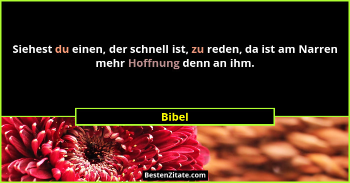Siehest du einen, der schnell ist, zu reden, da ist am Narren mehr Hoffnung denn an ihm.... - Bibel